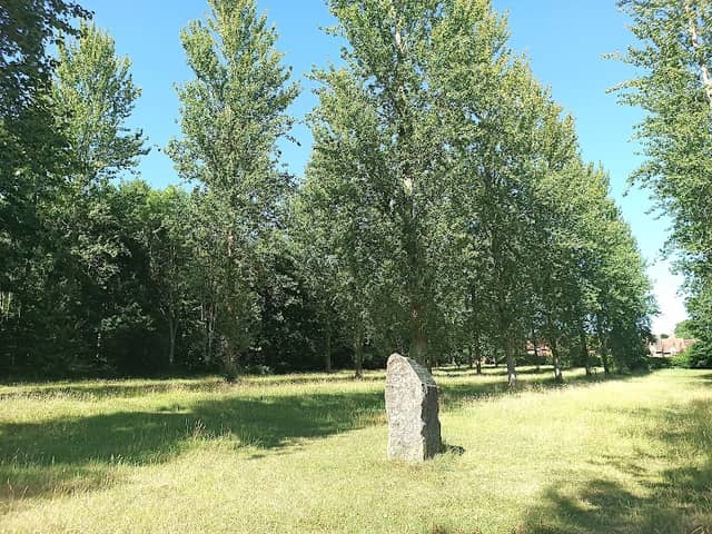 Ardington Millennium Standing Stones - Image 1