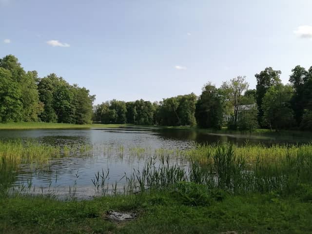 Zaļenieku muižas parks - Image 1