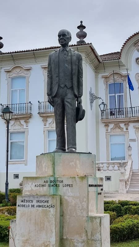 Jardim Dr. Alcino Simões Lopes - Image 1