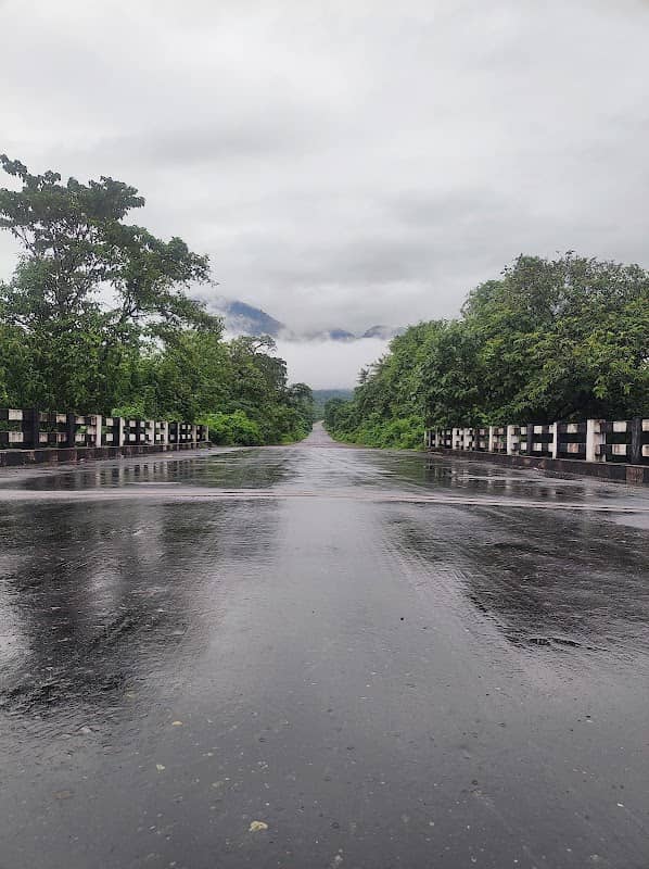 Elephant Corridor-1 - Image 1
