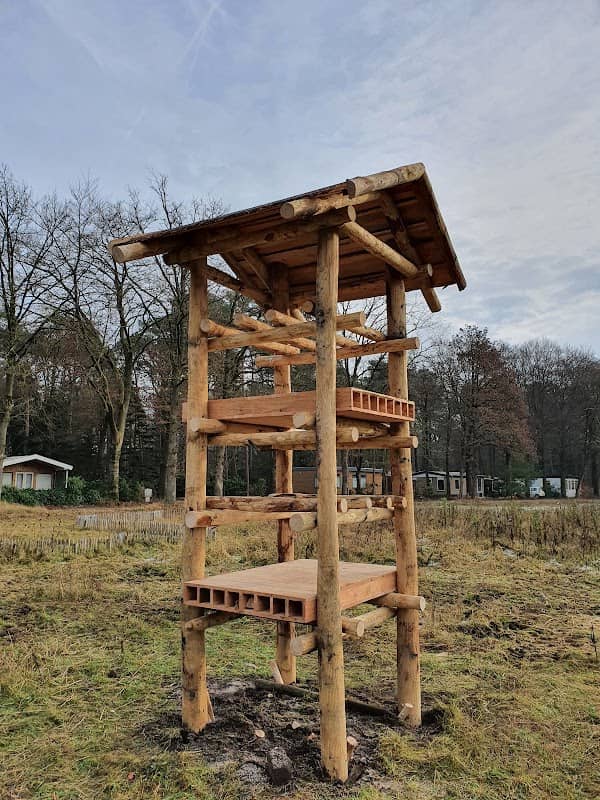 Nederland Landart - Image 2
