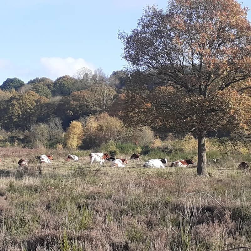Rifle Range Nature Reserve - Image 2