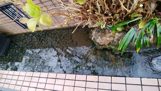 縄文雪つららの水 - Image 1
