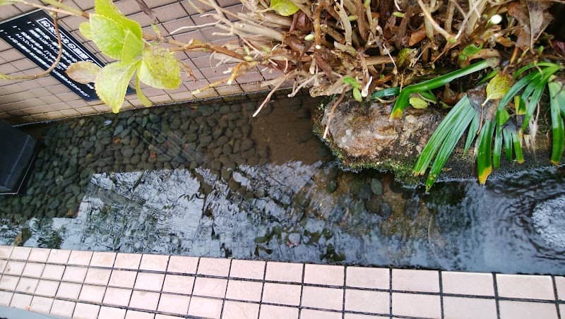 縄文雪つららの水 - Image 1