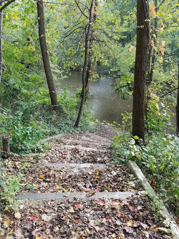 Russell Woods Forest Preserve - Image 2