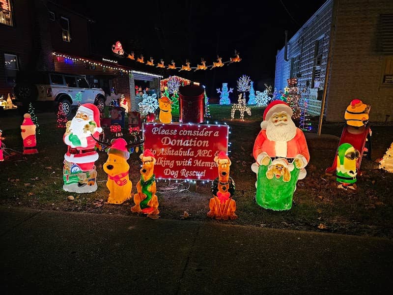 Morriello's Sparkling Wonderland - Image 2