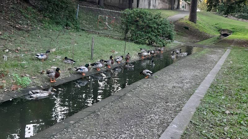Parco della Costituzione - Image 1