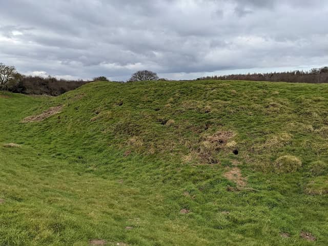Horsford Motte and Bailey Castle - Image 1