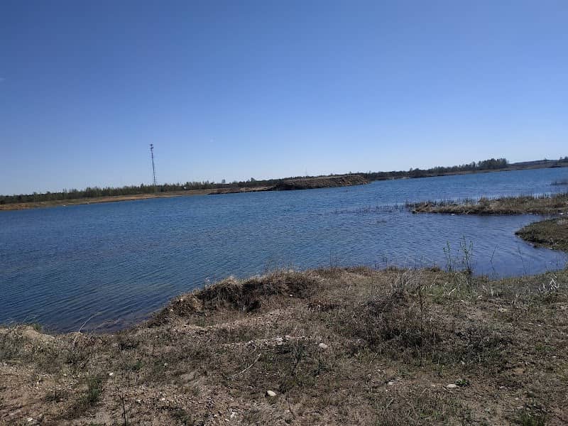 Orlinoye Pole - Image 1