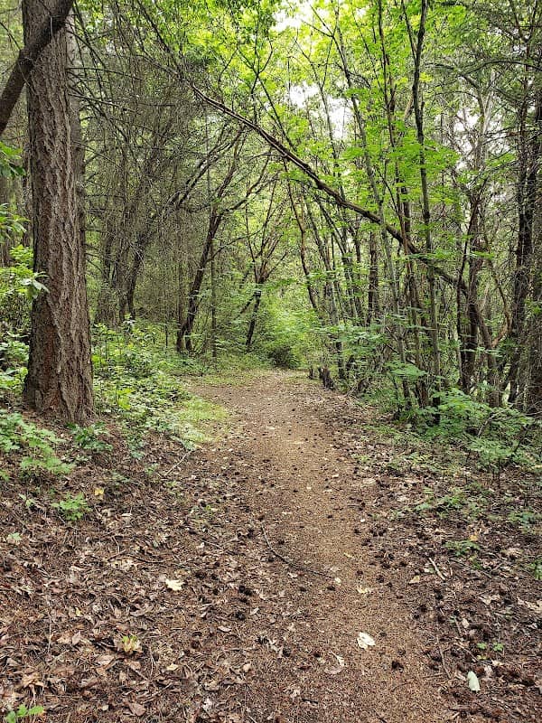 Forest Park - Image 1