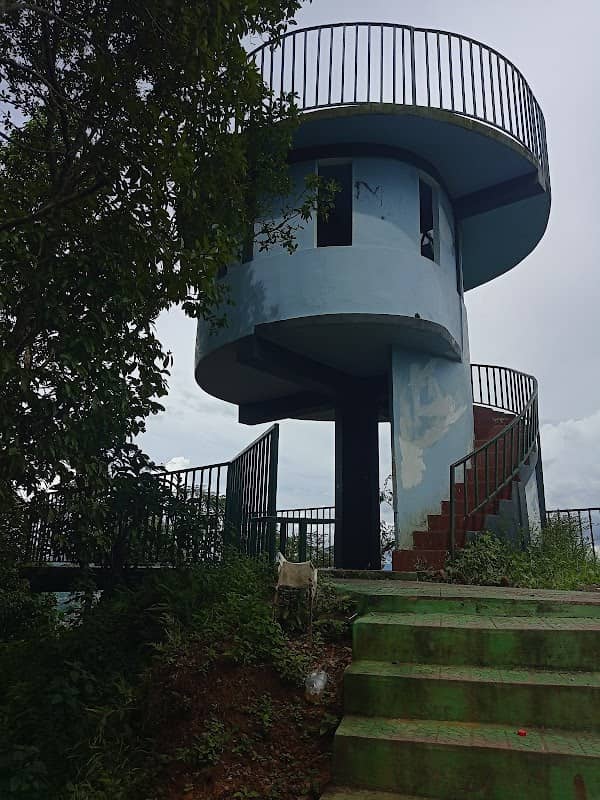 JF Viewing Gallery - Image 2