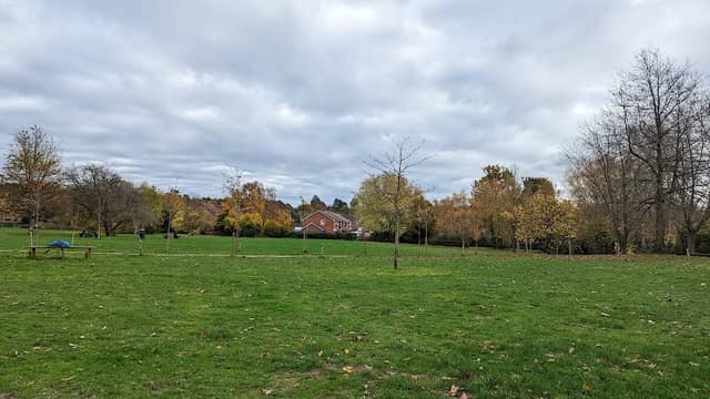 Allsmoor Field - Image 1