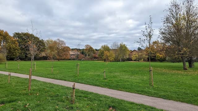 Allsmoor Field - Image 2