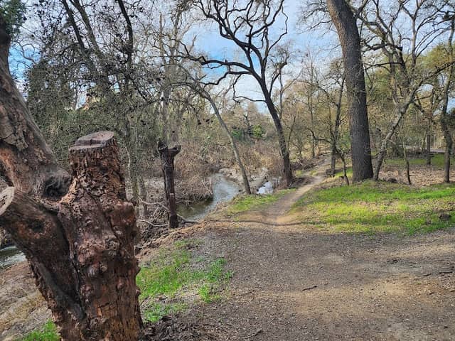 East La Loma Park - Image 1