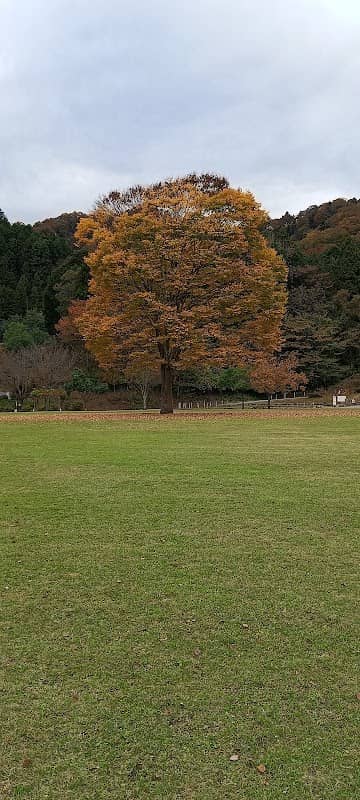 展望ホール - Image 3