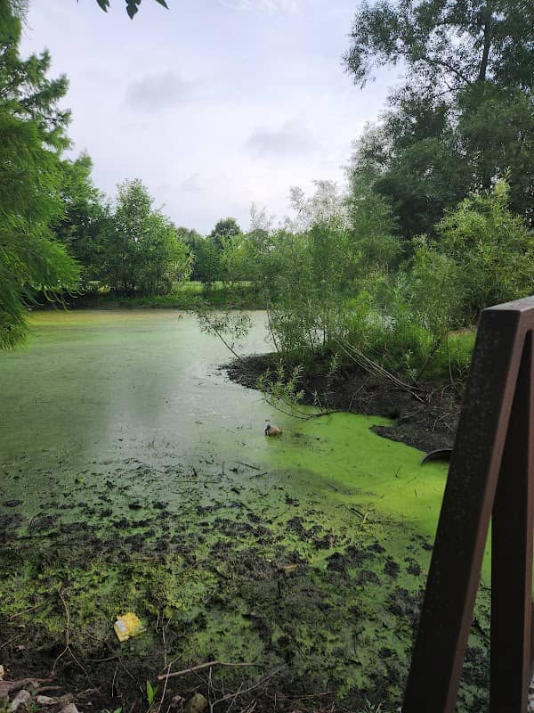 Lake County Parks - Image 1