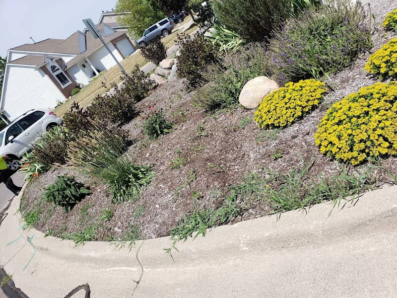 Dexter Community Park - Image 2