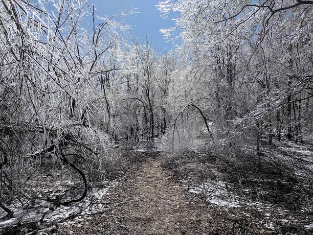 Ingalls Overlook Trail - Image 2