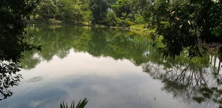 Laguna Nechí - Image 1