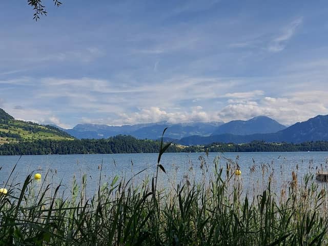 Merlischachen-Luzernerstrasse - Image 1