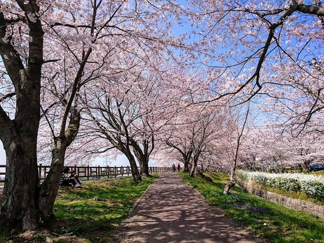 Ishigakiike Park - Image 1
