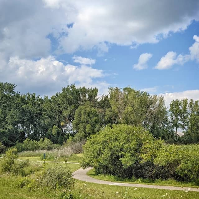 Golson Nature Area - Image 2