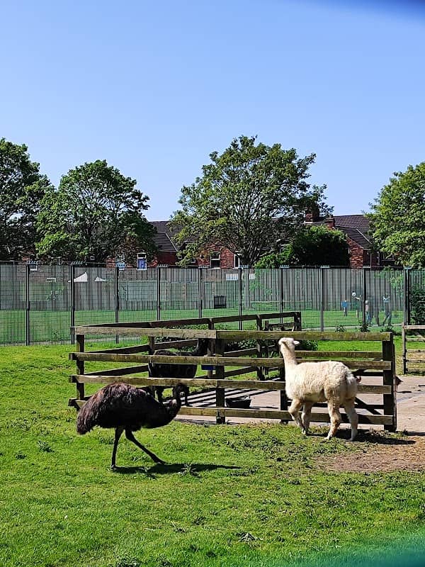 Animal Education Centre - Image 2