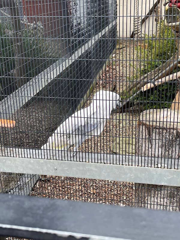 Animal Education Centre - Image 1