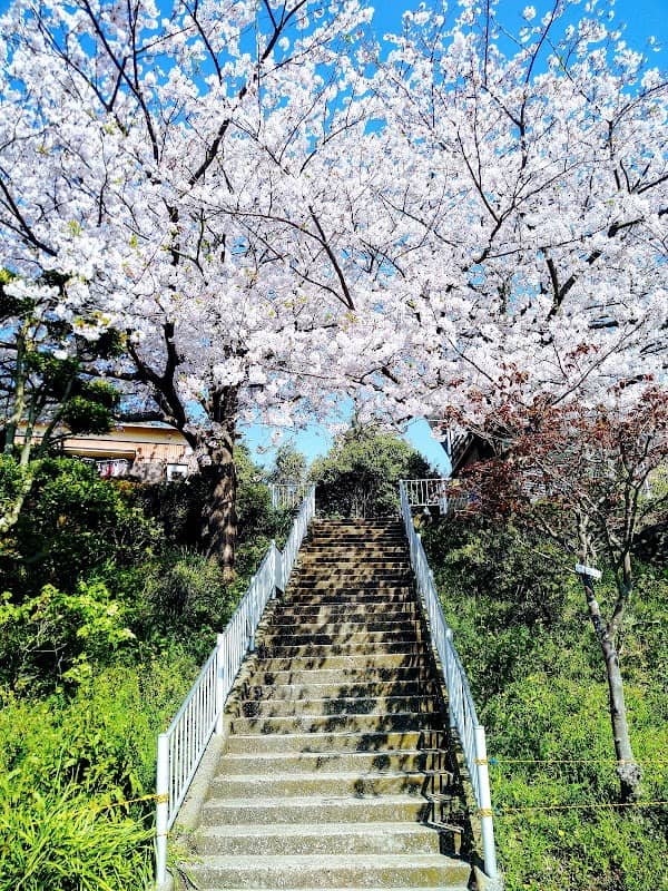Hamayu Park - Image 1