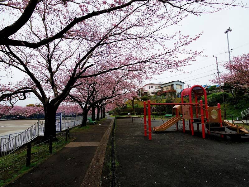 Hamayu Park - Image 2