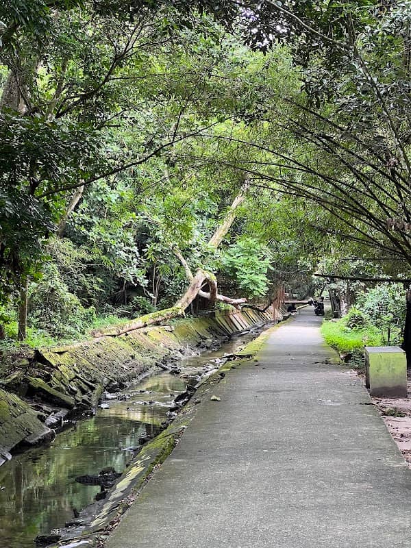 Hutan Kota Pekanbaru - Image 1