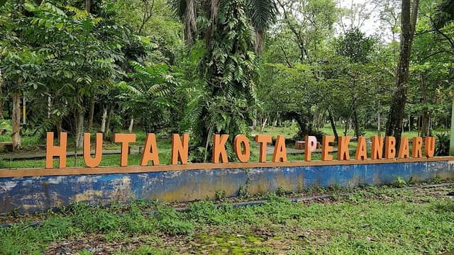 Hutan Kota Pekanbaru - Image 2