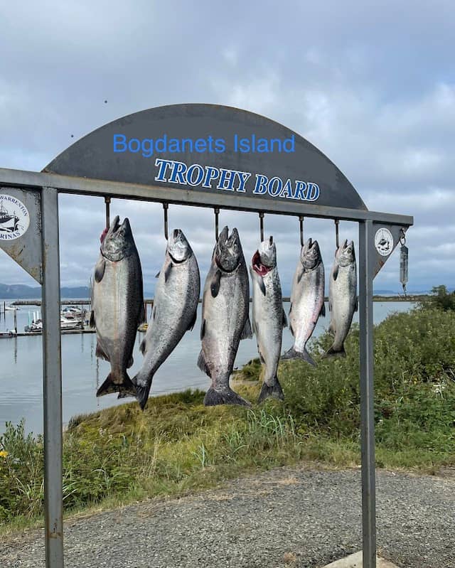 Bogdanets Island - Image 2