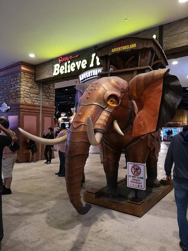 Ripley's Believe It or Not! - Image 2