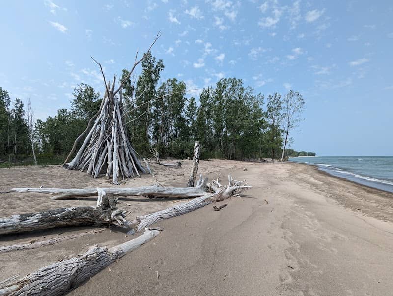 Gull Point Trail - Image 2