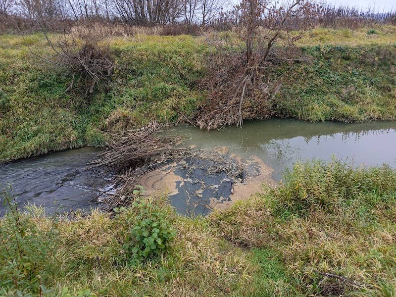 Bobrza tama - Image 1