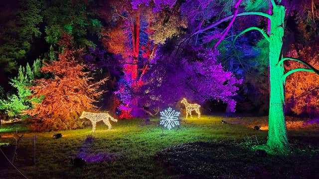 Schlosspark Pillnitz - Image 3