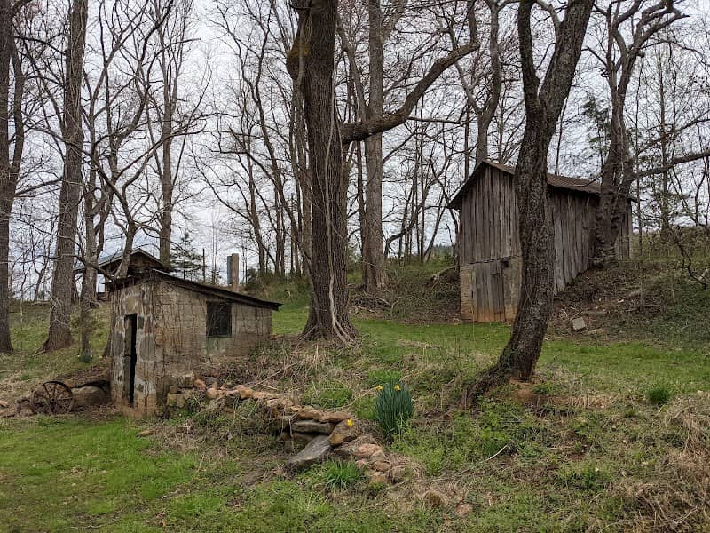 Tessentee Bottomland Preserve - Image 2