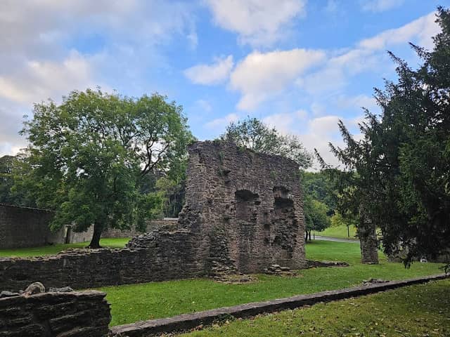 Palace Demesne Public Park - Image 1
