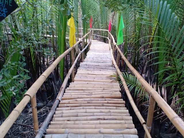 Olo-Olo Mangrove Forest, Eco Park, and Beach Resort - Image 1