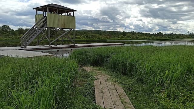 Koivusaari Nature Trail - Image 1