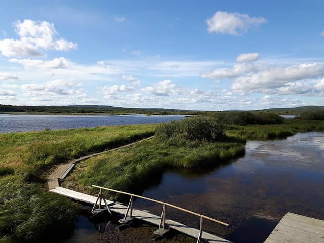 Koivusaari Nature Trail - Image 2