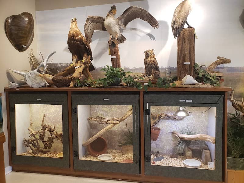 Gulf State Park Nature Center - Image 2