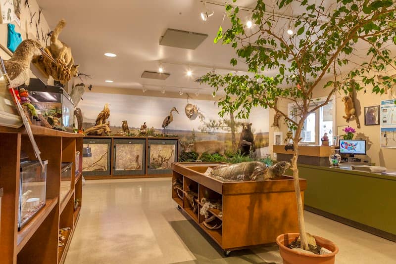 Gulf State Park Nature Center - Image 3