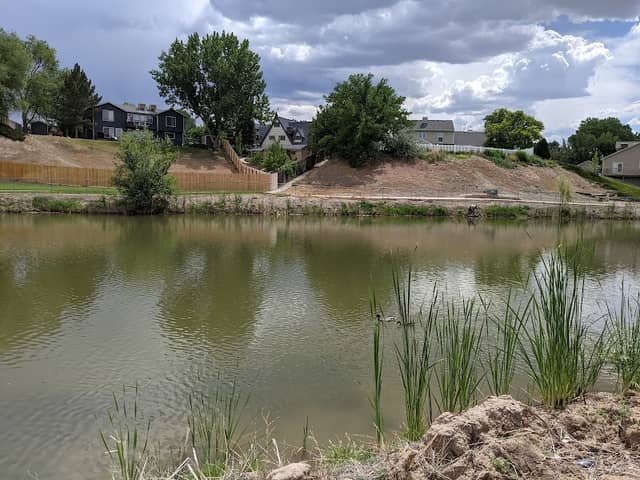 Paradise Hills Park - Image 2