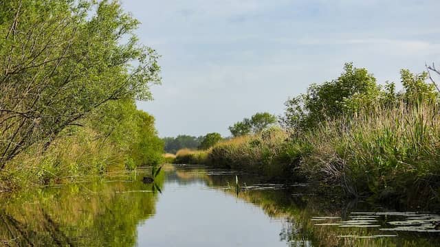 Bird hide Zouweboezem - Image 1