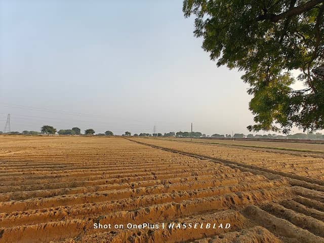 O P Paliwal Krishi Farm - Image 1
