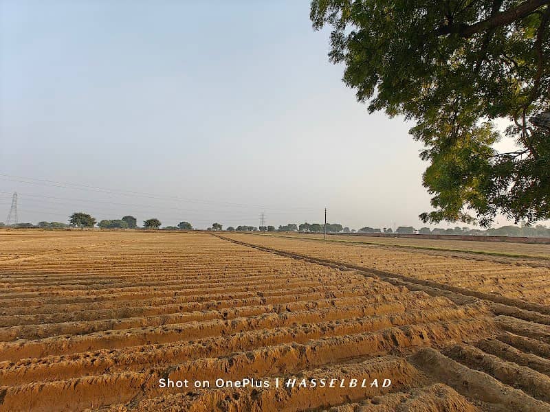 O P Paliwal Krishi Farm - Image 1