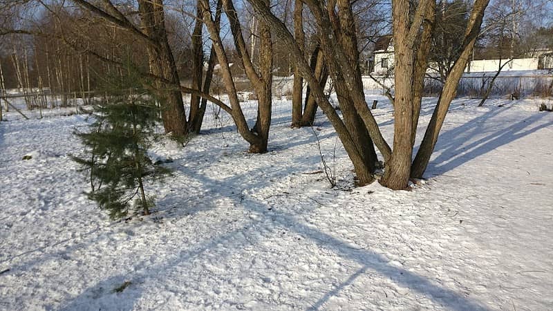 Uotila Dog Park - Image 1