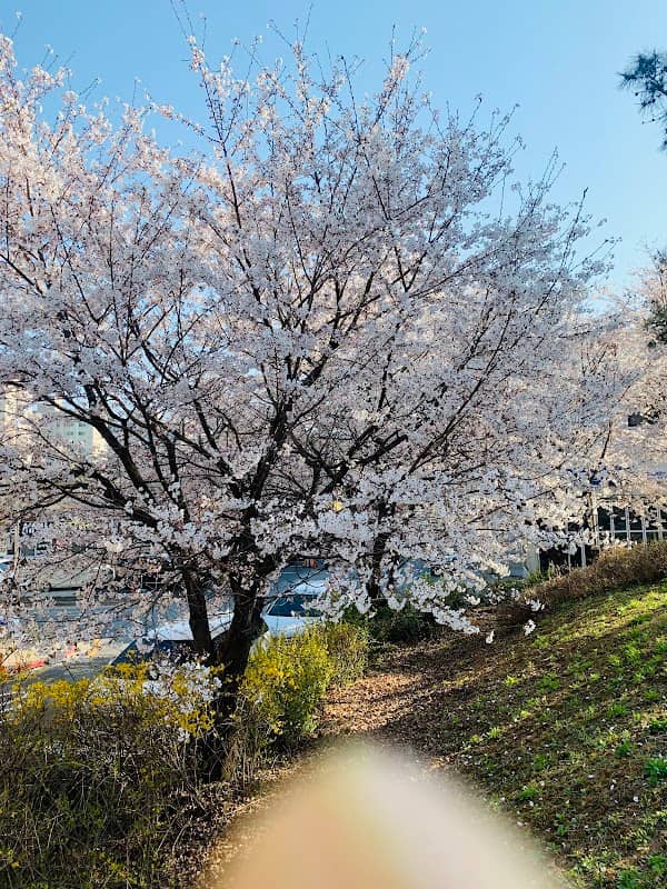 노을빛공원 - Image 2